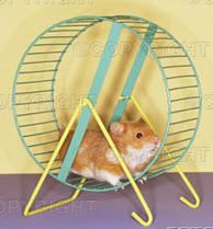 Hamster wheel photosearch