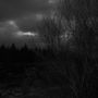 Winter night
