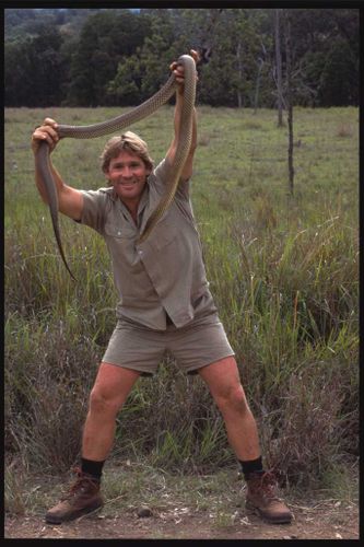 Steve Irwin