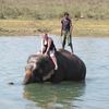 Chitwan National Park 022