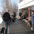 IMG 7521