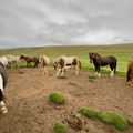 img 0499