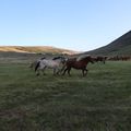img 8830