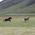 img 8872