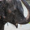 Chitwan National Park 057
