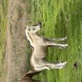 img 0681 1455569
