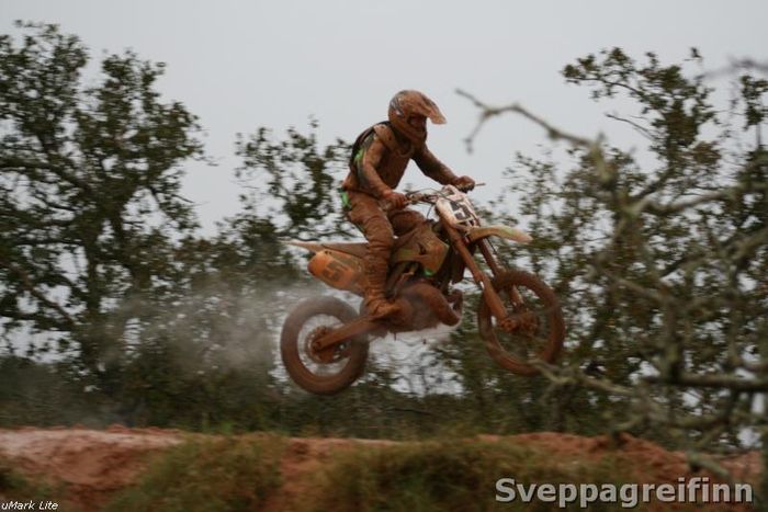 t6 img 4579b.jpg