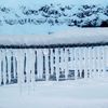 ...gullfoss1
