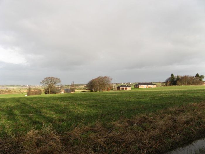 21 januar 2007 019.jpg