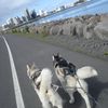 Skemmtilegast af öllu er að draga mömmu sína;)