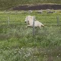 img 0963