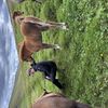 img 0403 1455174