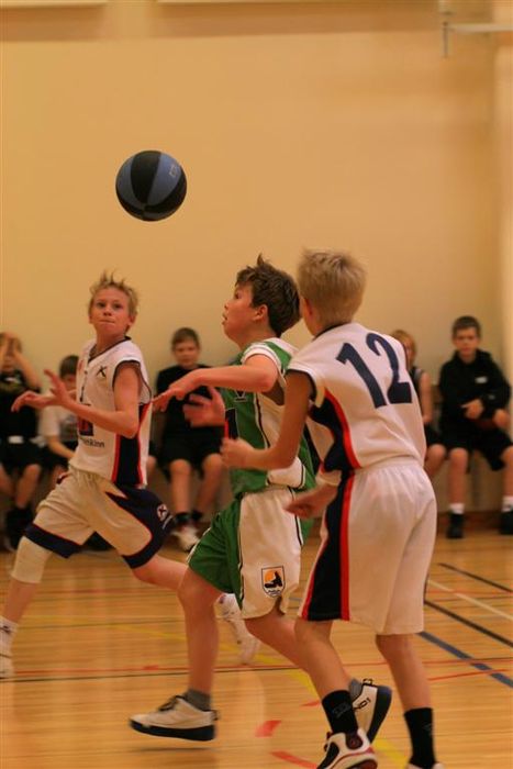 IMG 4876 (Large)