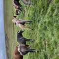 img 0622
