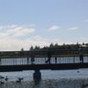 Áður en við lögðum af stað heim á leið fengum við að fara eina ferð á brúna