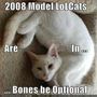 th funny-pictures-new-lolcat-has-optio
