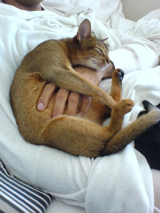 sooo cozy
