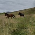 img 0925