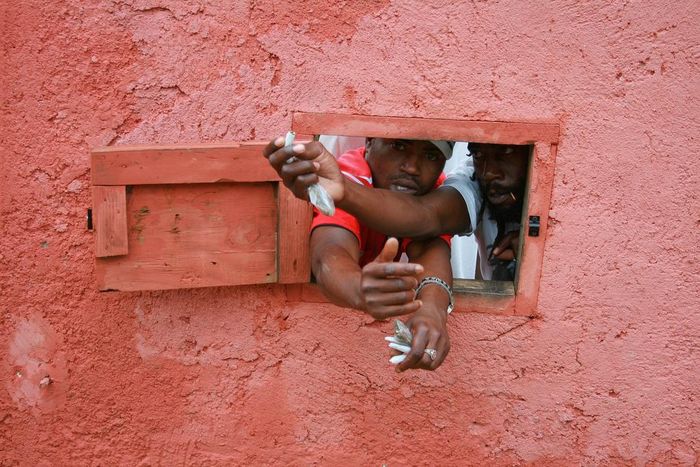 drug dealers in nine mile, jamaica