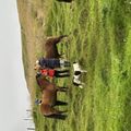 img 0162 1454607