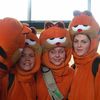 dimmision 2004