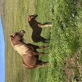 img 0173