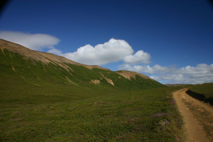 Fjalli