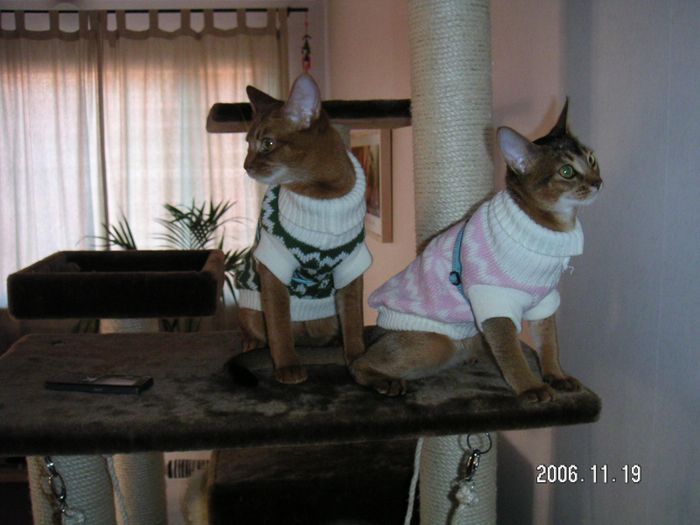 All dressed up!
