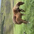 img 0650