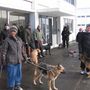 IMG 7485