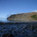 Fjallið og fjaran