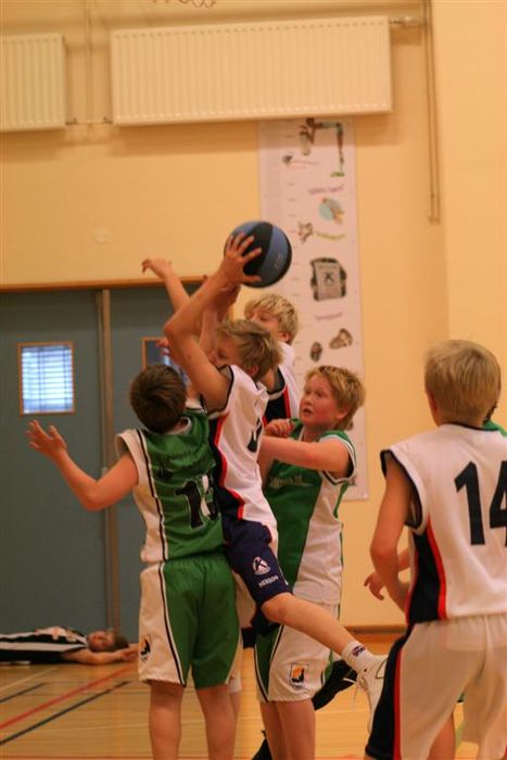 IMG 4854 (Large)
