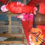 img 1293.jpg