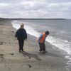 ..og skoða lífið í fjörunni um leið