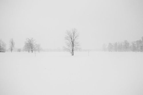 snowpexels-photo-774531