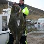 32 kg halibut