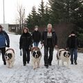IMG 7190