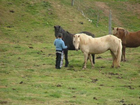 Con los caballos, q buenos