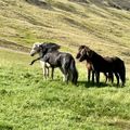 img 0819 1456198