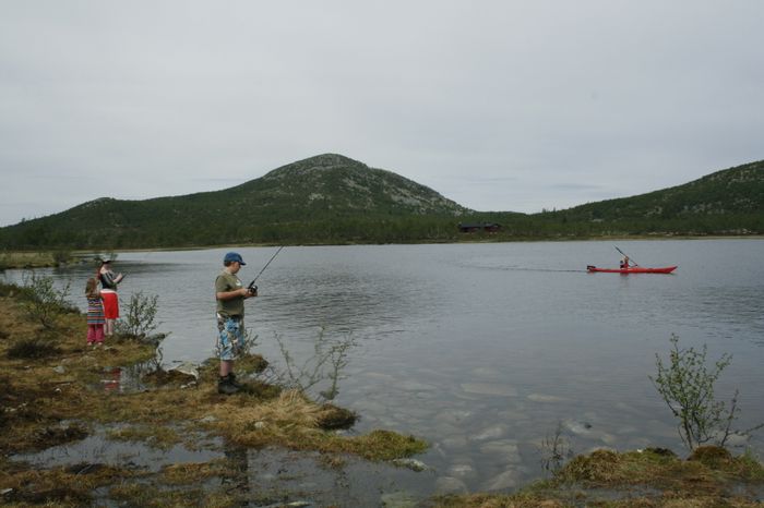 Hvar er fiskurinn