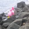Ólöf reynir að komast ofar í klettana