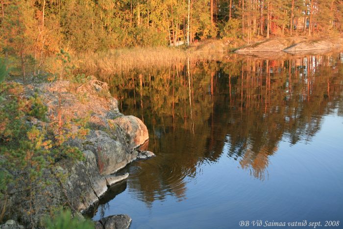 Haust vi Saimaa vatni 2008 (18)