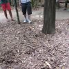 cu chi 029