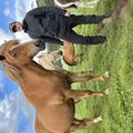 img 0393 1455164