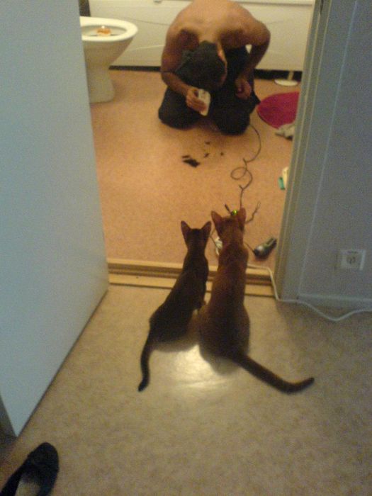 The two cuties