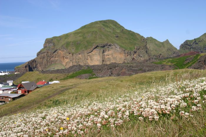 Heimaklettur