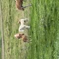 img 0386