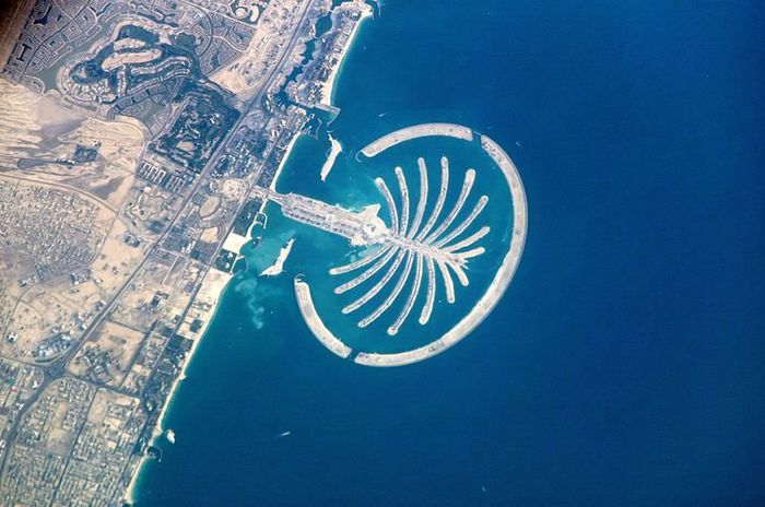 Hi heimatilbna The Palm