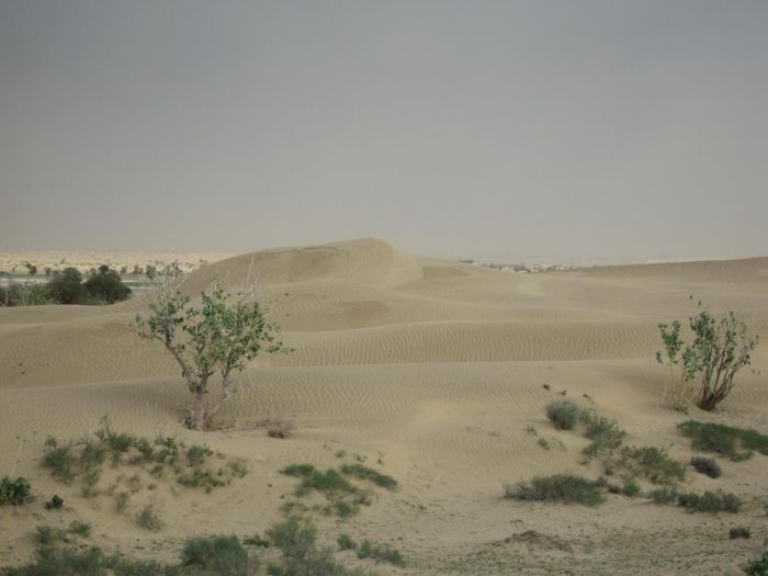 Agust 2006