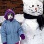 funny-cat-picture-snow-cat